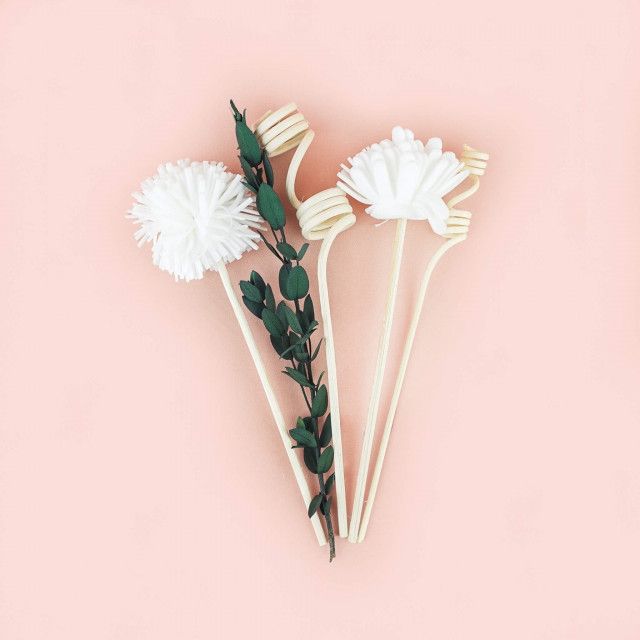 A bunch of white flowers on sticks on a pink background