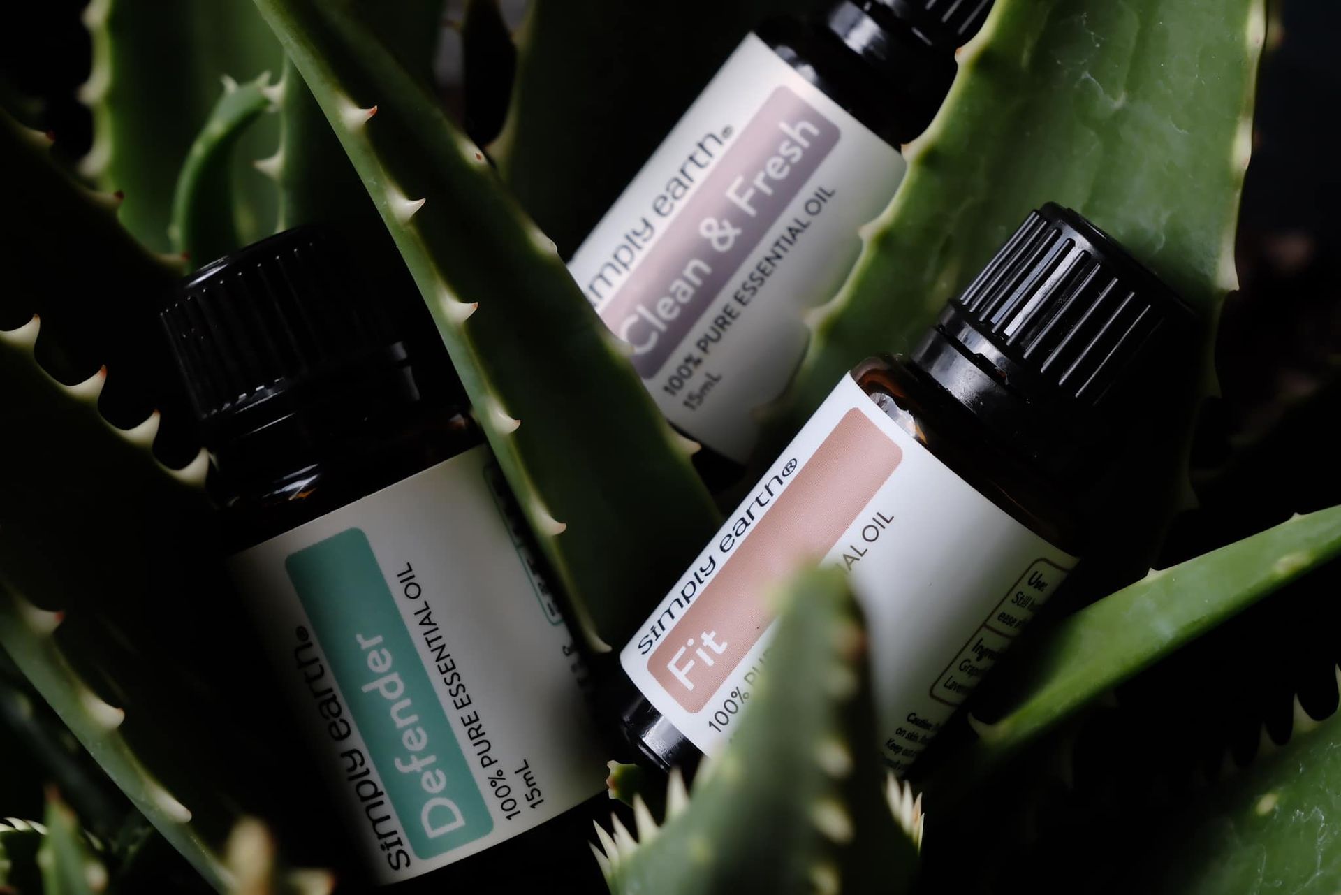 Three bottles of essential oils are sitting on top of aloe vera leaves