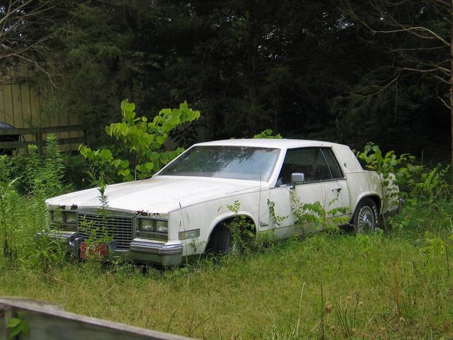 Old non-running car sitting in weeds in a back yard