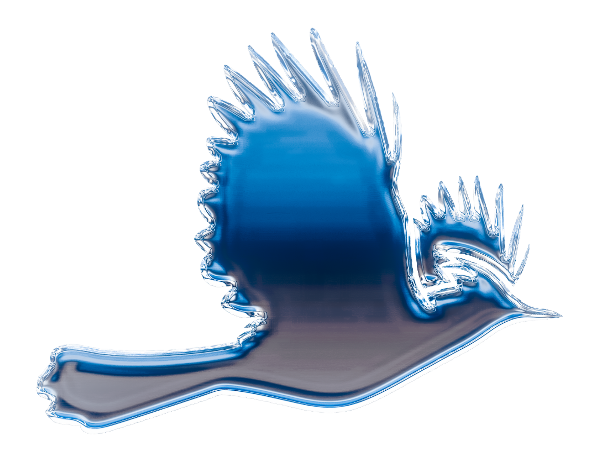 stellar jay icon