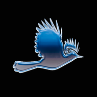 stellar jay icon black