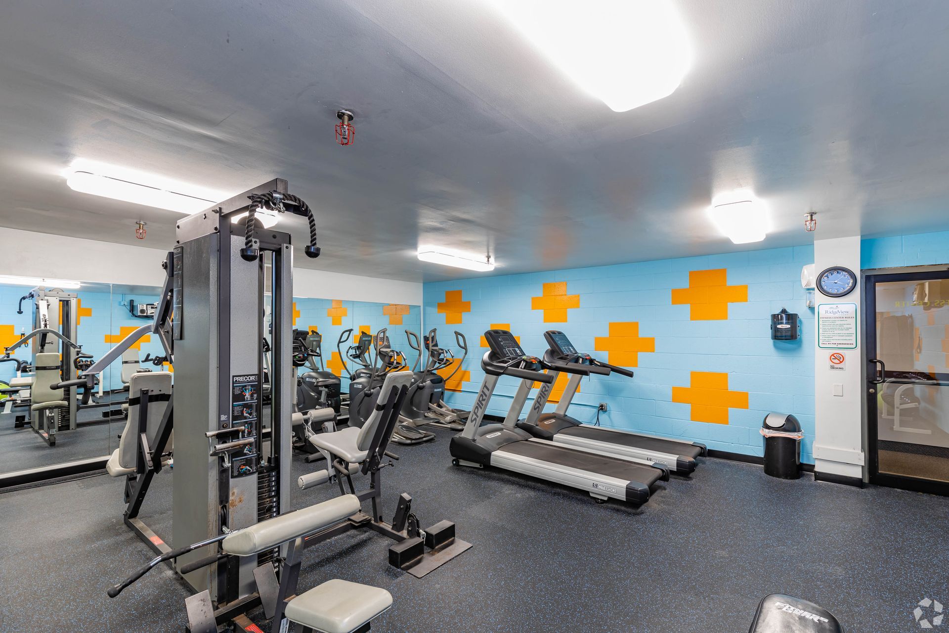 gym