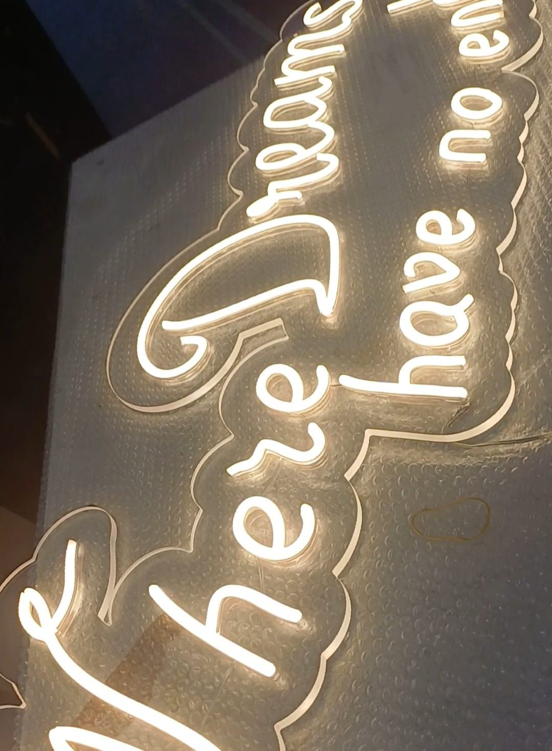 Insegna luminosa