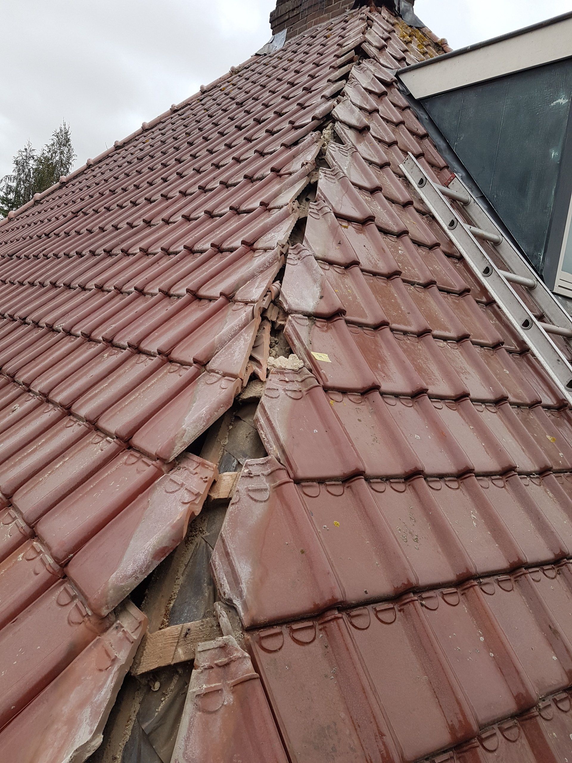 Nokvorsten Tulle du nord