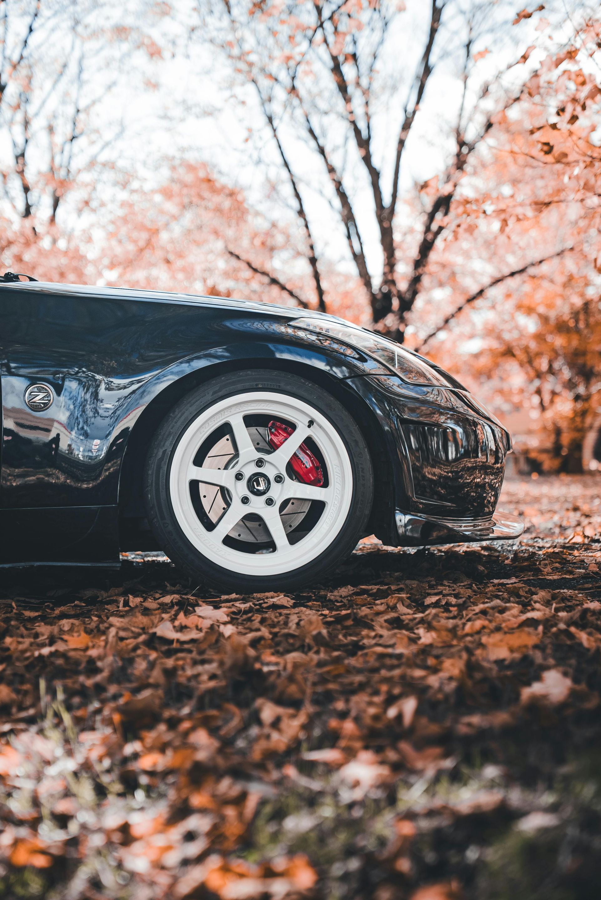 Black sports car with white wheels parked on a bed of fall leaves.