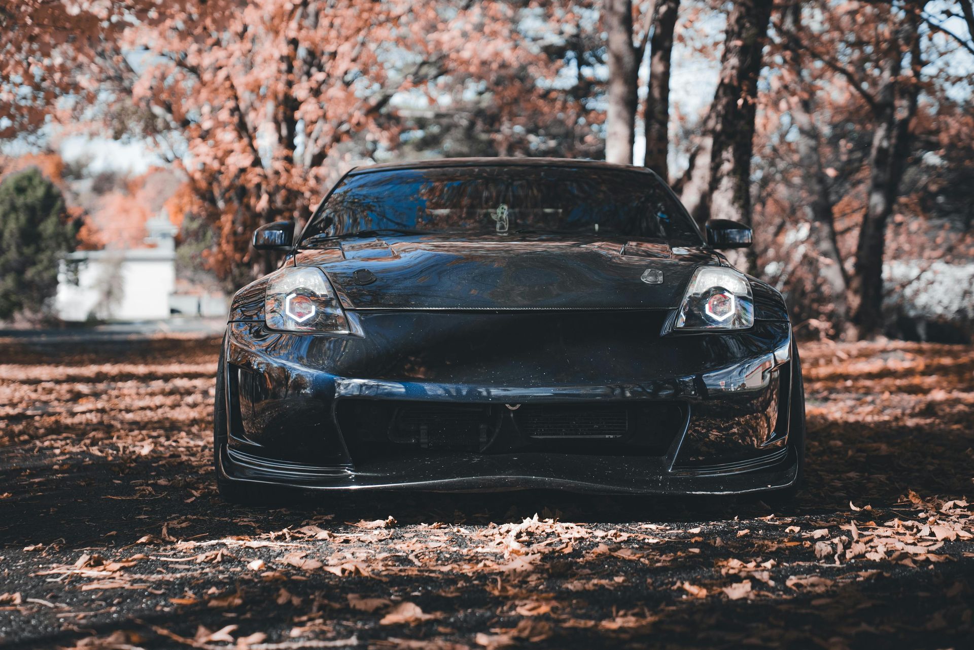 Black sports car parked on a bed of leaves with a fall foliage backdrop.