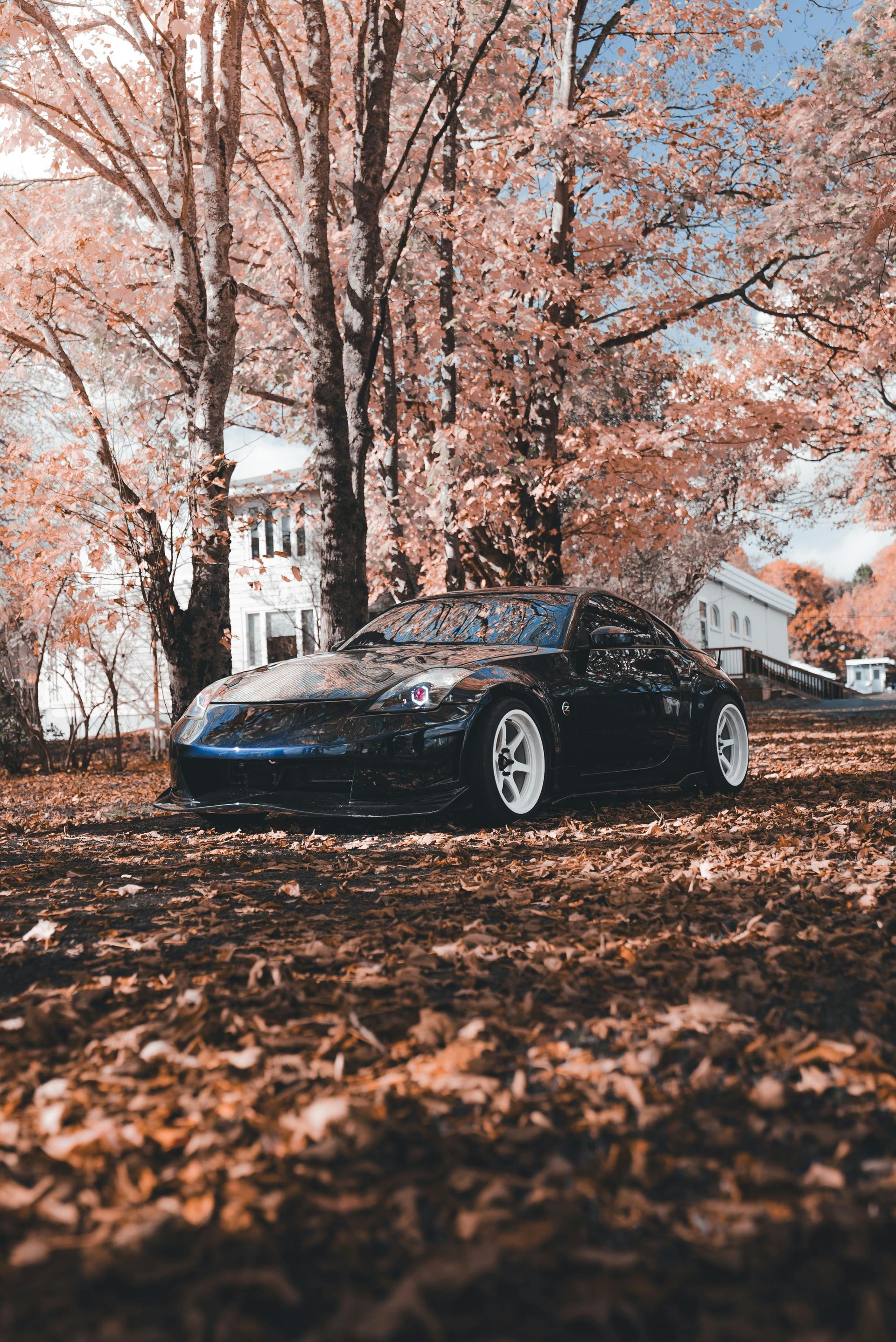 Dark sports car parked on fallen leaves under trees with a house in the background.