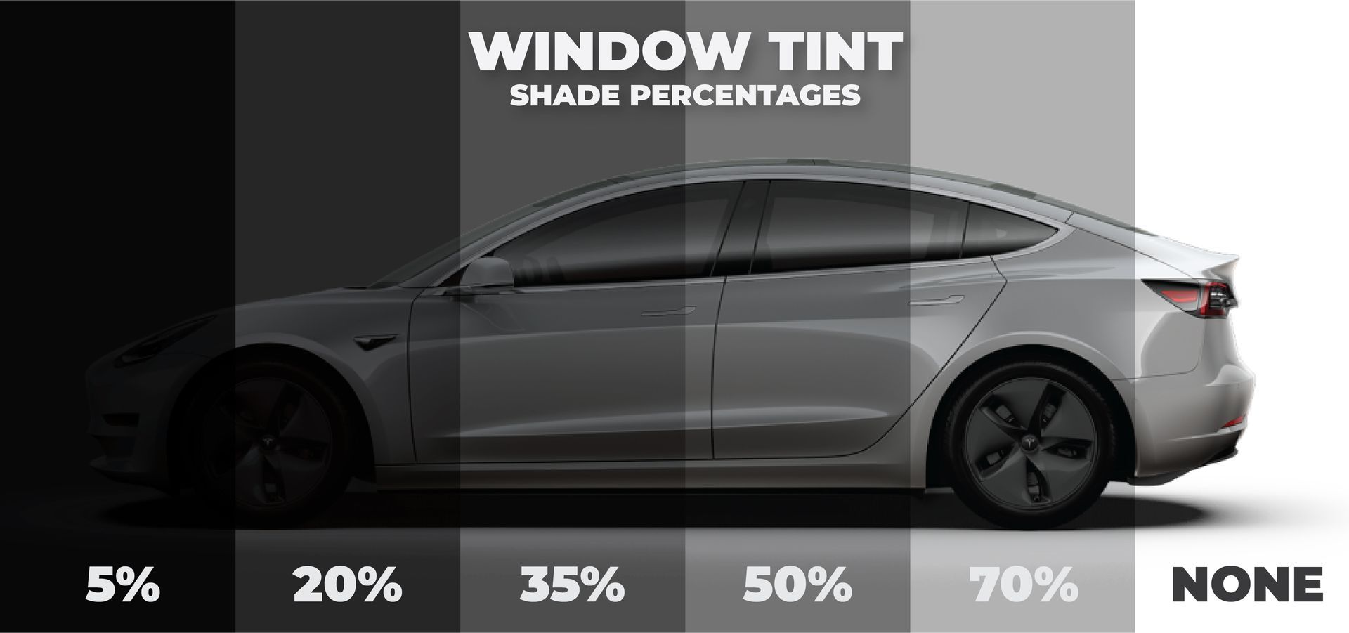 window tint visualizer