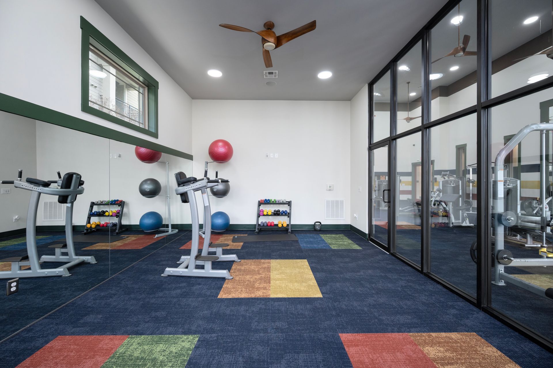 A gym with dark blue carpet and colorful accent squares, featuring exercise equipment, medicine balls, and mirrored walls at Silver Collection at Cosner's Corner in Fredericksburg, VA.