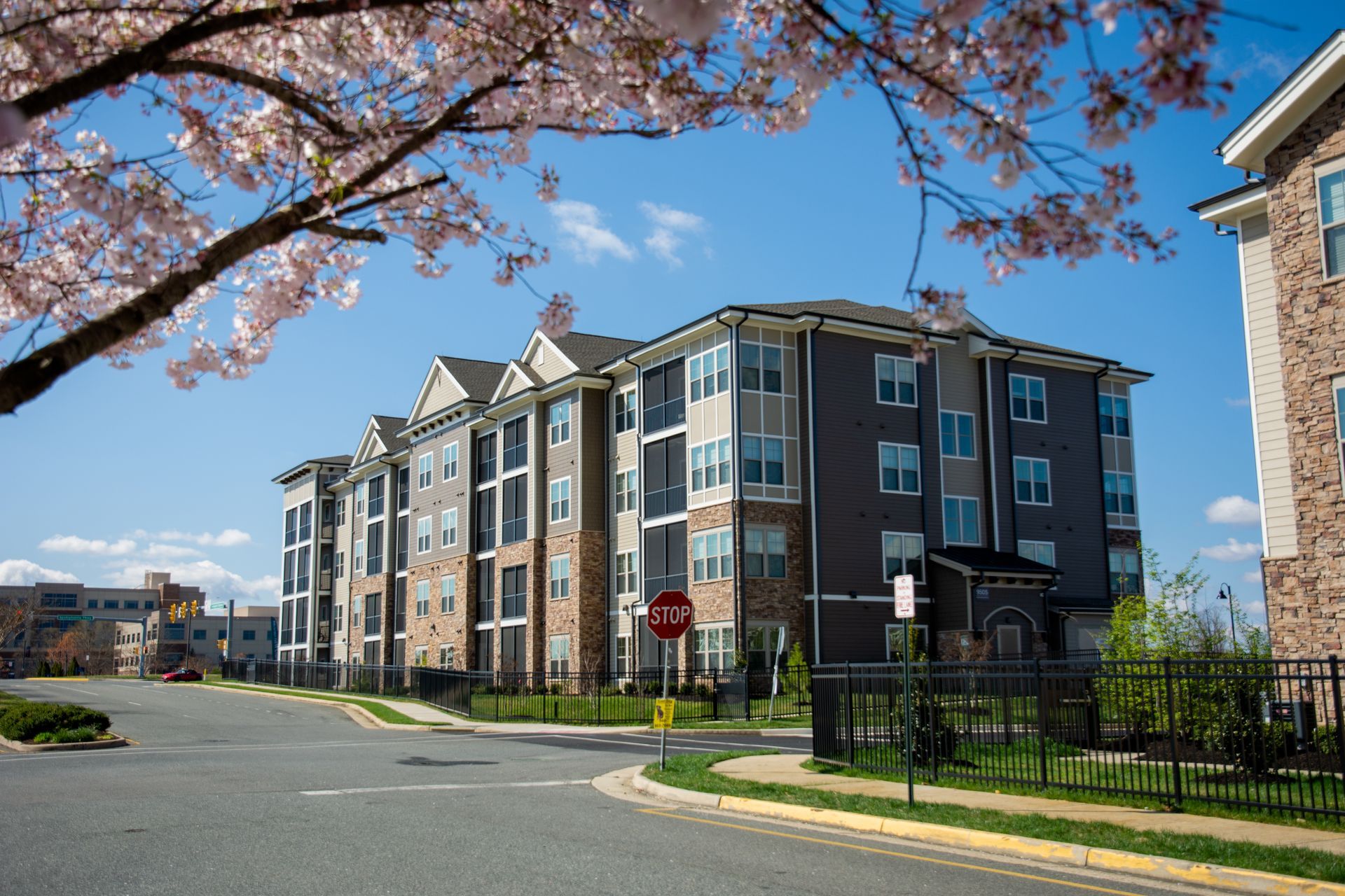 Apartment buildings with stone and gray siding, trees with pink blossoms, and a blue sky on a sunny day.