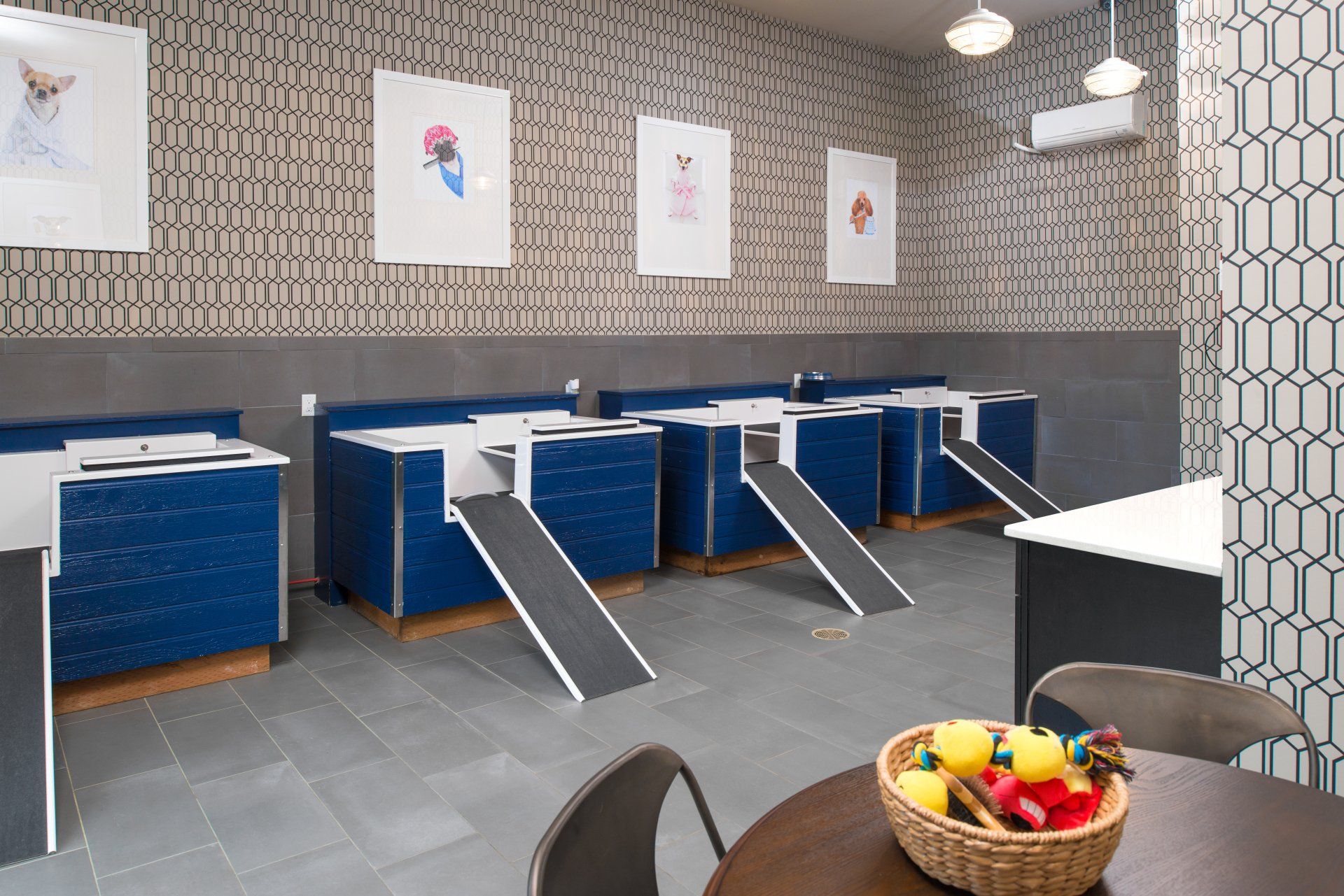 A row of elevated, blue dog-washing tubs with small access ramps in a room with patterned wallpaper and framed art at Silver Collection at Cosner's Corner in Fredericksburg, VA.
