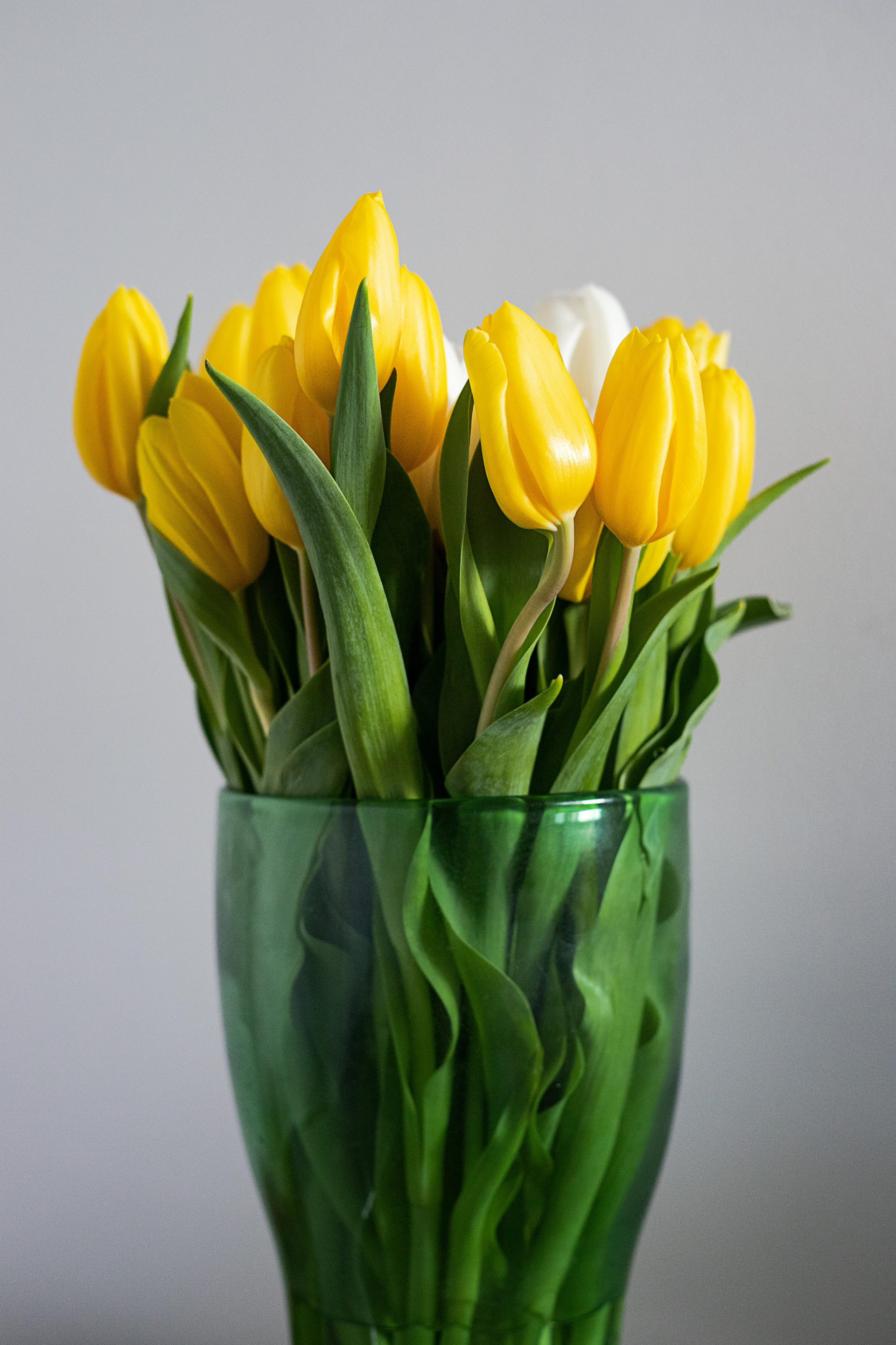 gele tulpen in een vaas