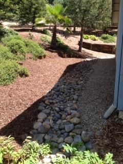 A stone walkway leading to a house with trees in the background