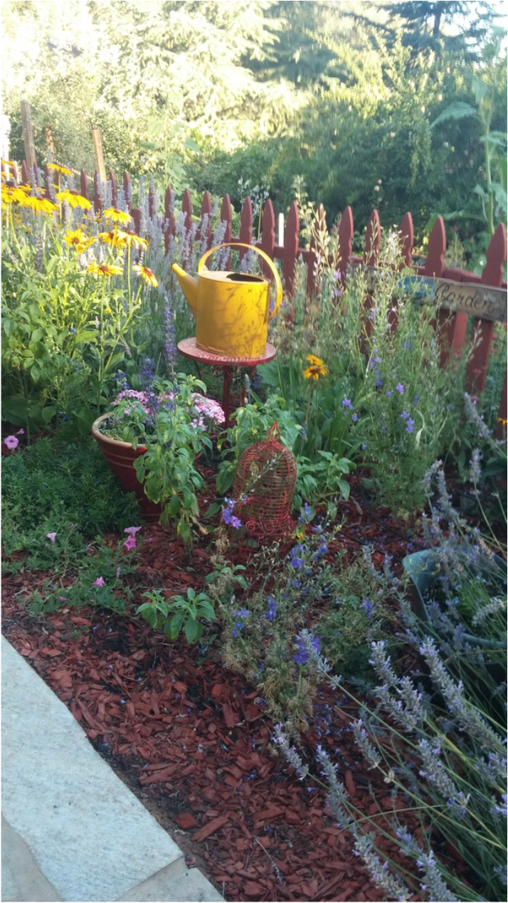 A garden with flowers and a watering can in the middle.