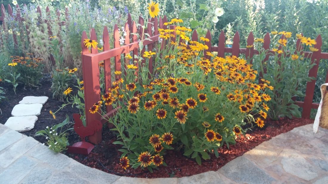 A garden with flowers and a red picket fence