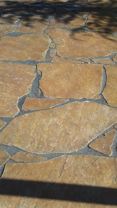 A close up of a stone patio with a tree in the background.
