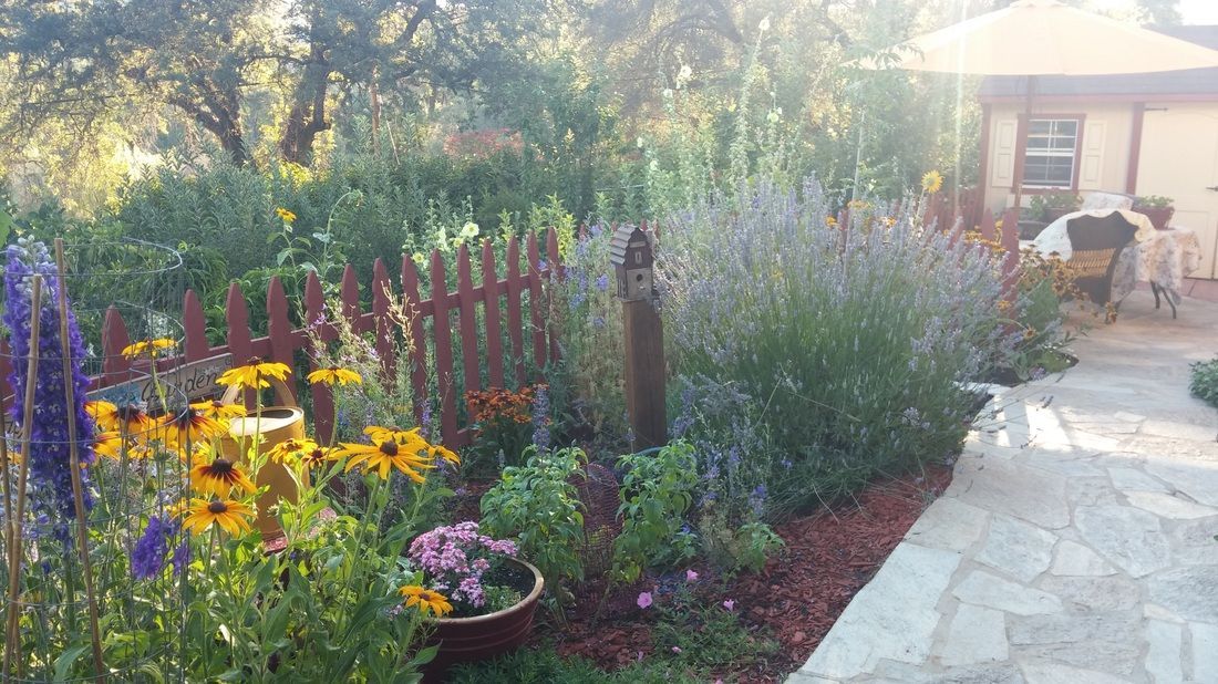 A garden with flowers and a fence in front of a house.