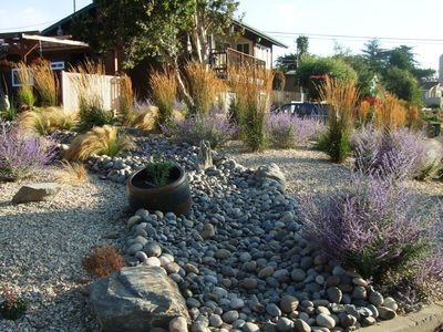 A garden with rocks and purple flowers in front of a house