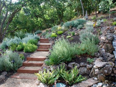 A garden with stairs leading up to a waterfall