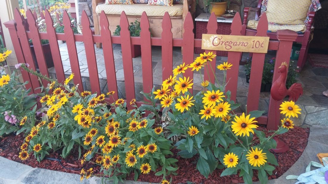 A red picket fence surrounded by sunflowers and a sign that says organic