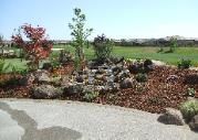 A shadow of a person is cast on a concrete surface in a garden.