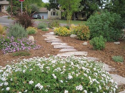 A stone walkway leading to a house surrounded by flowers