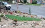 A white truck is parked on the side of the road next to a garden.