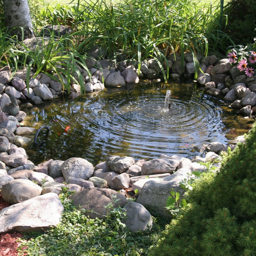 Pond cleaners