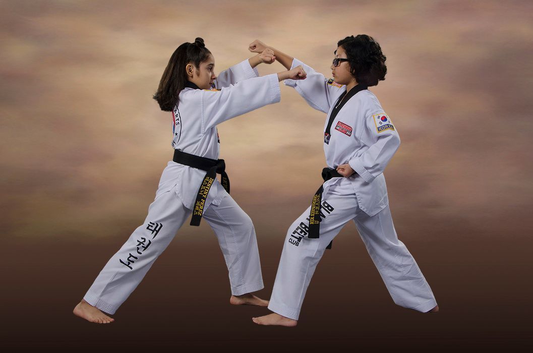 tae kwon do in chicago