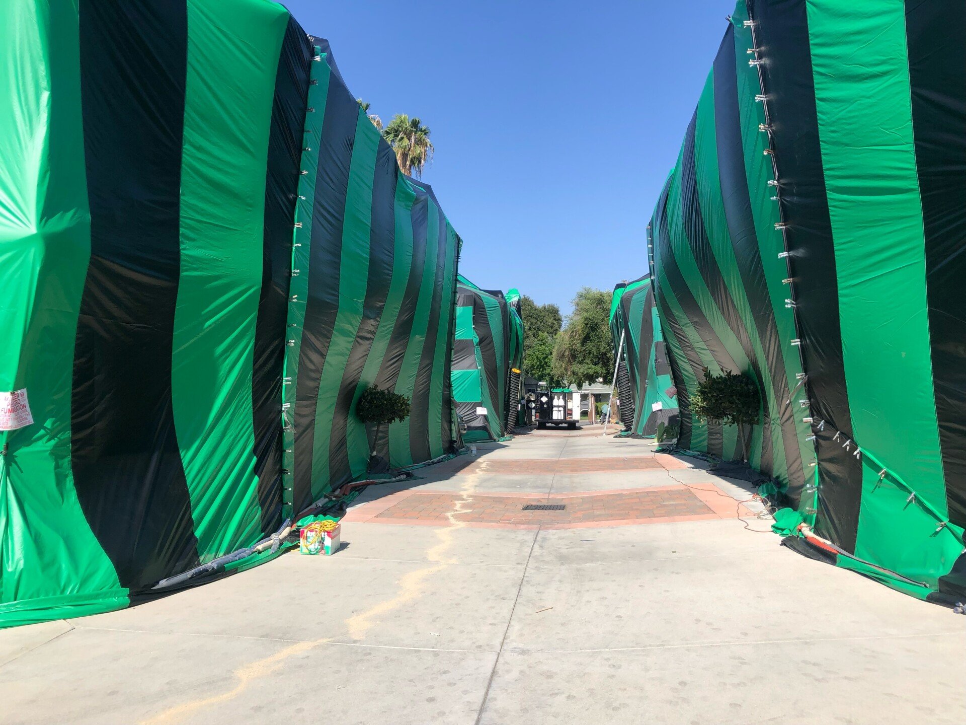 Fumigation Tents Paramount, CA Big Foot Fumigation