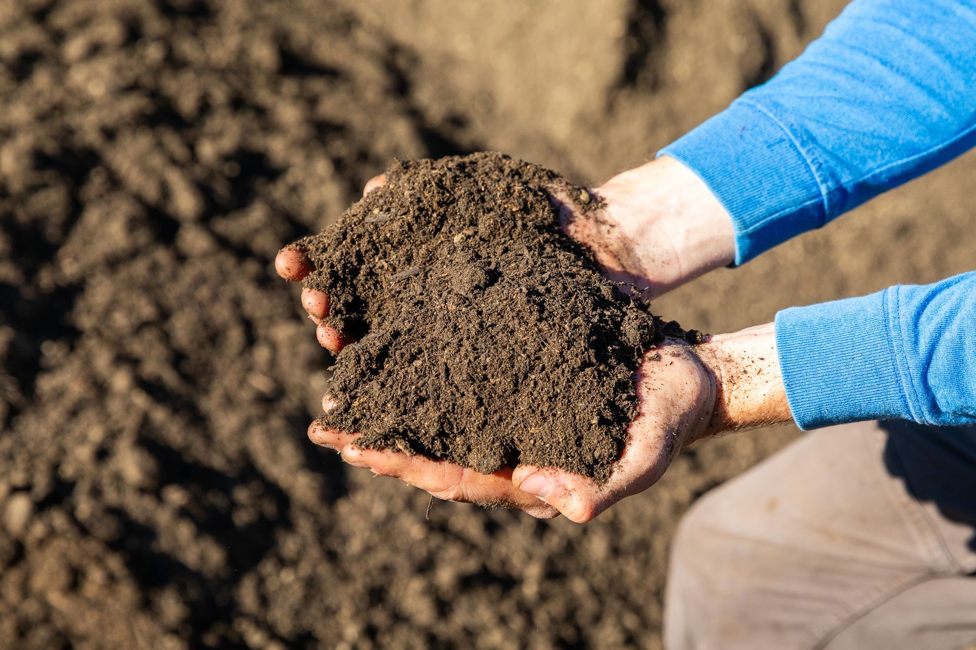 Hands holding a mound of dark soil outdoors, with a blue sleeve visible.