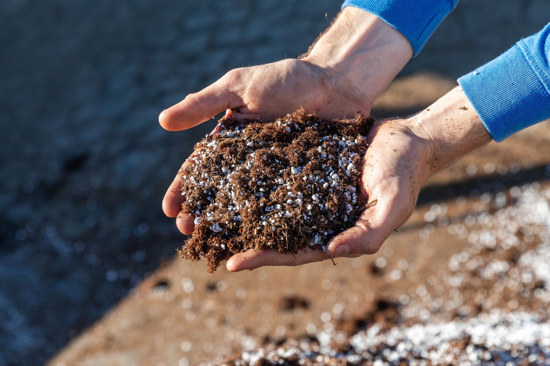 Hands holding a mix of dark soil and white perlite. Blue sleeves in background.