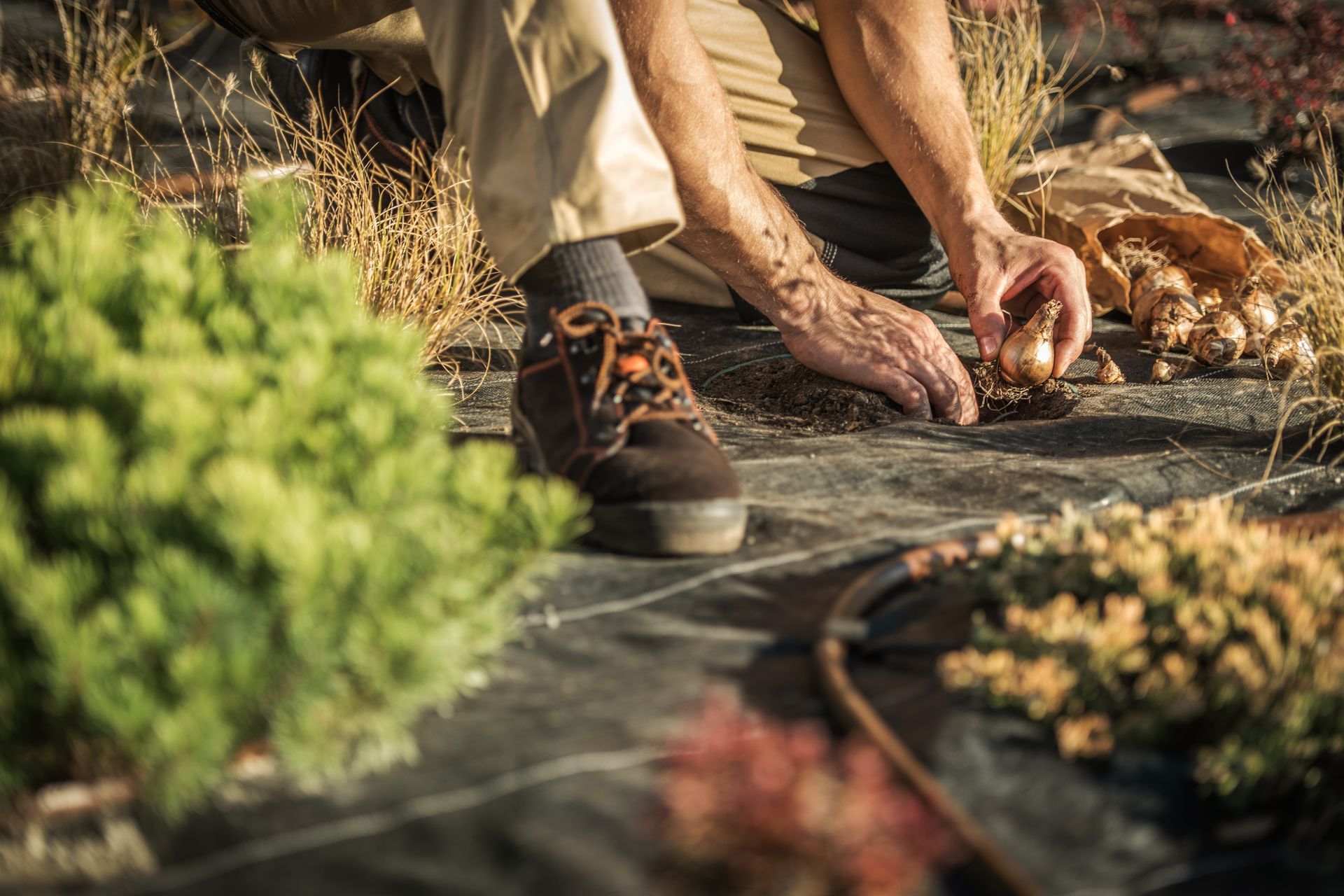 Person kneeling in a garden, planting or pruning flowers beside a stone path
