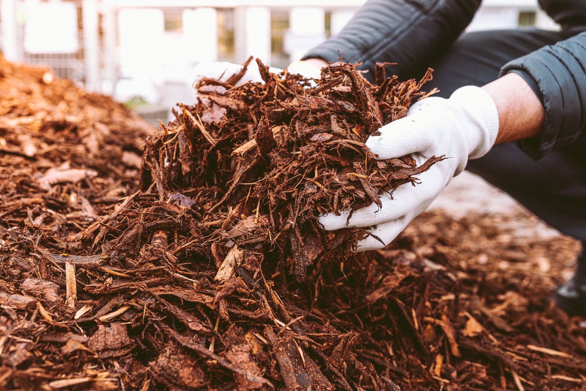 Gloved hands holding a pile of brown mulch outdoors.