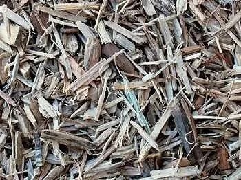 Wood mulch, close-up view. Brown and tan wood chips, small pieces, scattered.