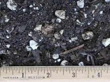 Close-up of potting soil with small white stones, a ruler at the bottom for scale.