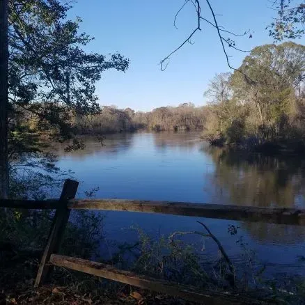 River scene: calm water reflecting a blue sky, framed by trees and a wooden fence.
