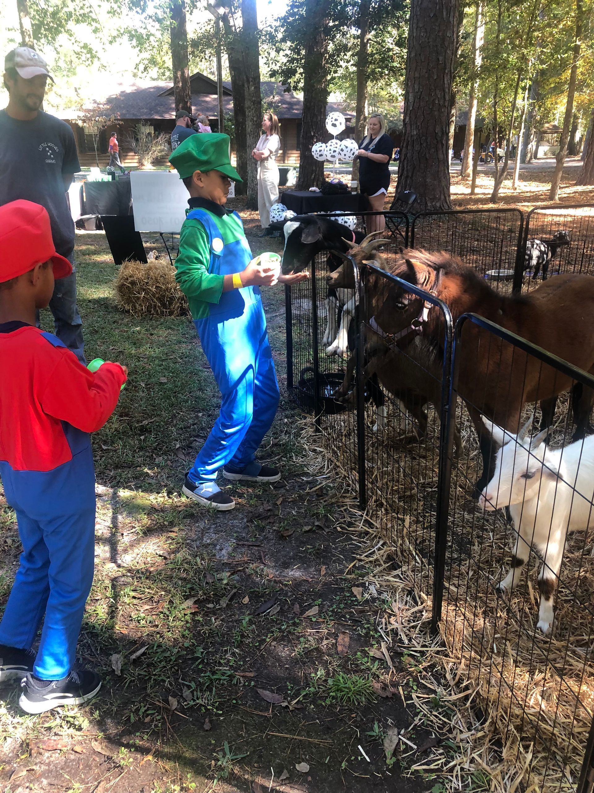 Two children in Super Mario costumes at a petting zoo; one feeds goats while another watches.