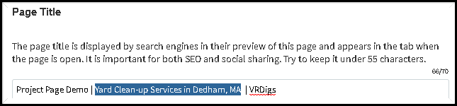 VRDigs.com SEO Checklist page title screenshot