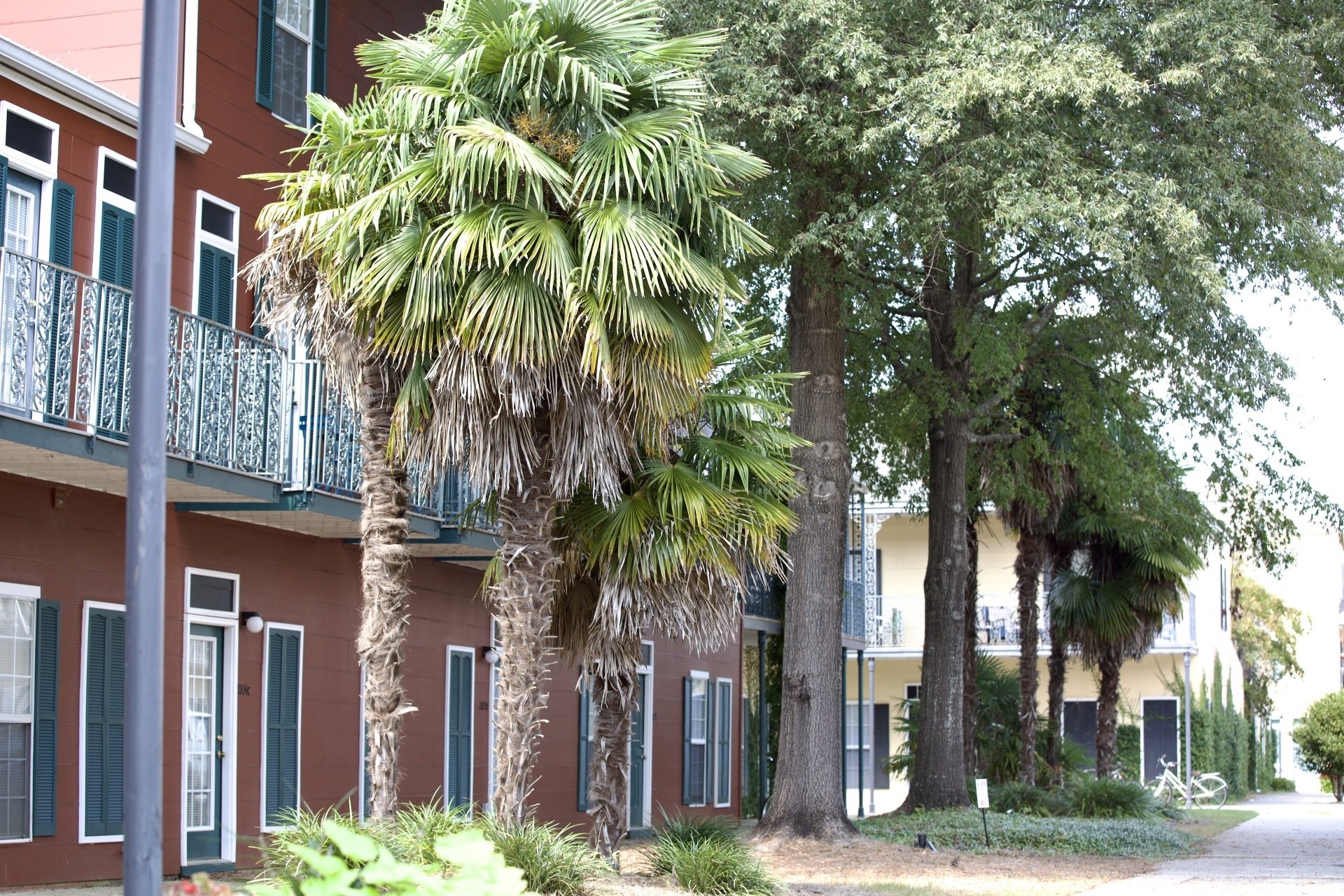 Photos The French Quarter Auburn, AL