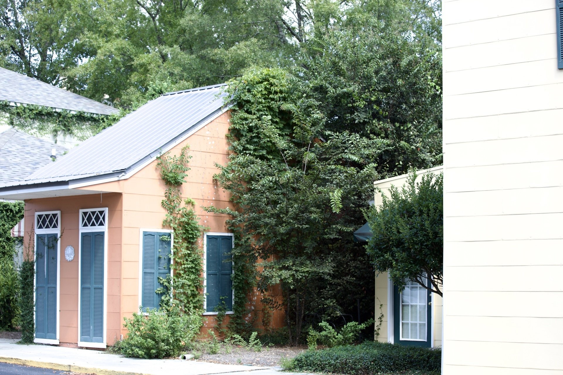 Photos The French Quarter Auburn, AL