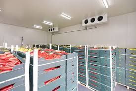 Cold Storage Design, 
Freezer Case Design and  Installation, 
Refrigerator Case Design and Installation,
Commercial Refrigeration Design and Installation