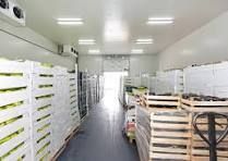 Cold Storage Design, 
Freezer Case Design and  Installation, 
Refrigerator Case Design and Installation,
Commercial Refrigeration Design and Installation