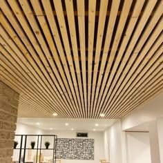 Drop Ceiling Installation, Drop Ceiling Ideas, Drop Ceiling Lights, Drop Ceiling Repair, Suspended Ceiling Installation, Suspended Acoustic Ceiling, Acoustic Ceilings