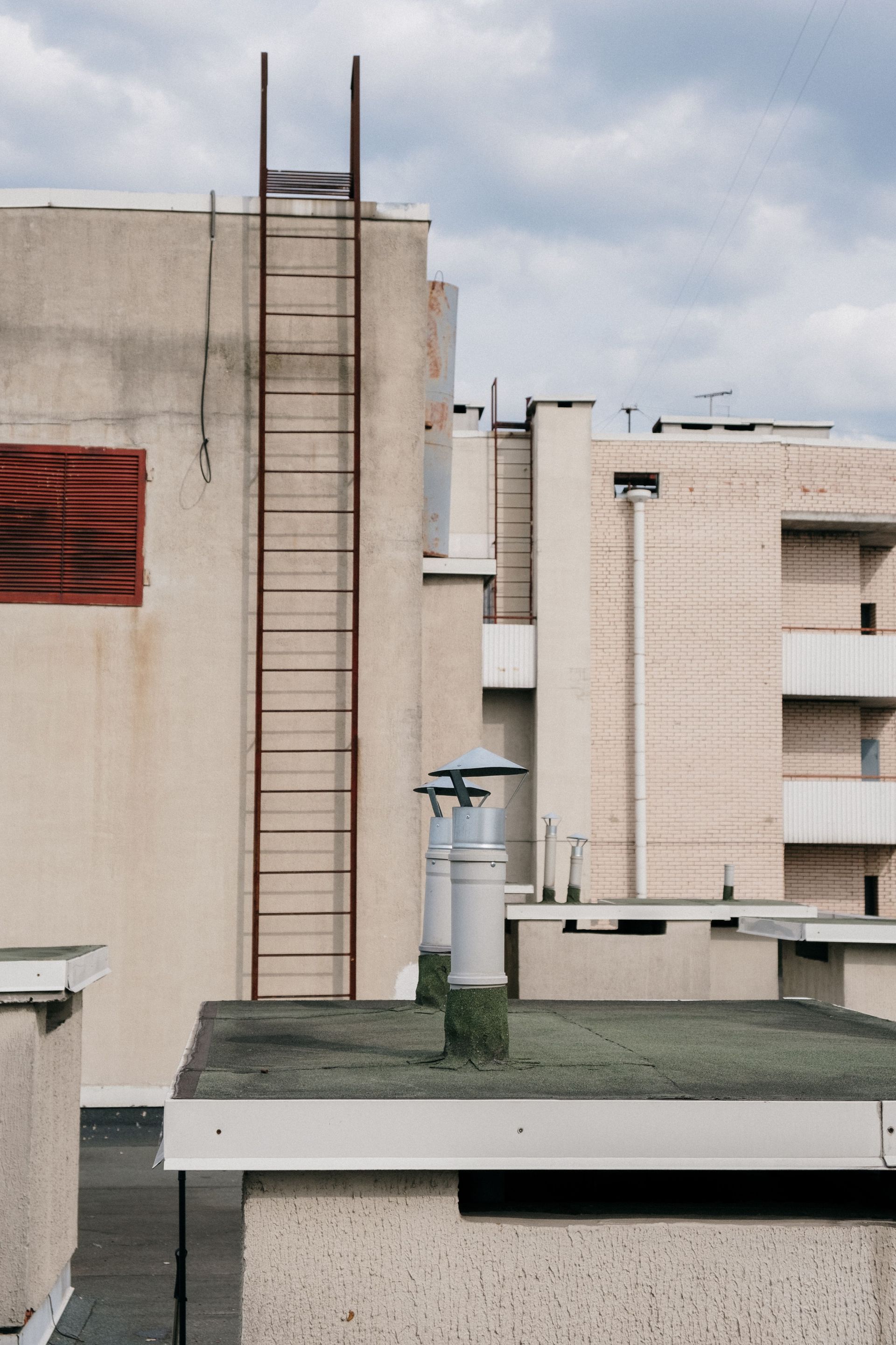 rooftop safety ladder