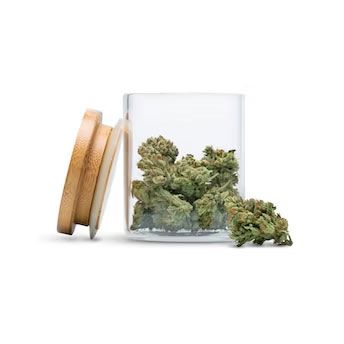 Zia Toke - Sour Apple