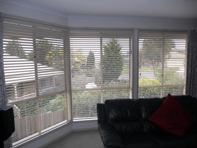 PVC Venetians Blinds