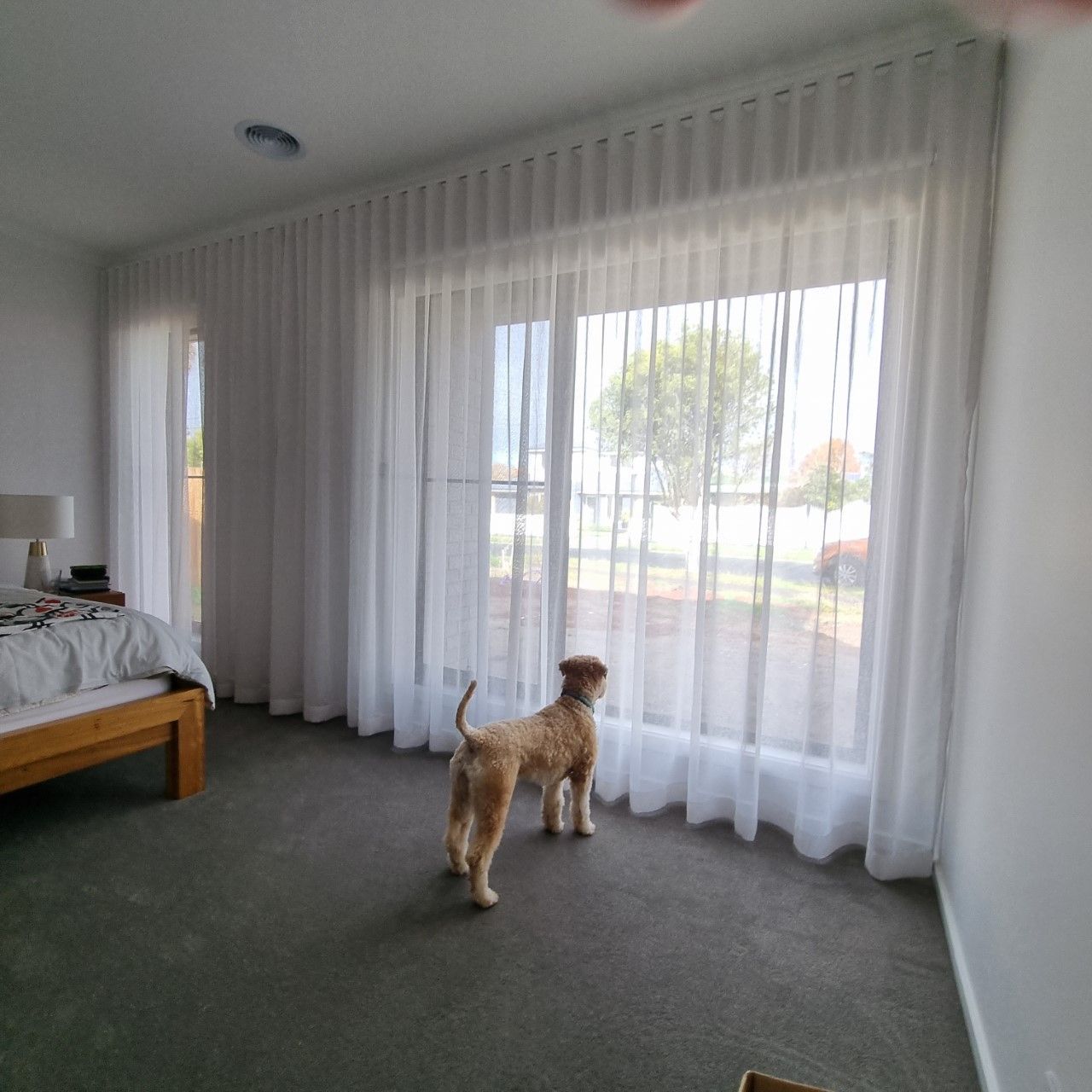 Curtains