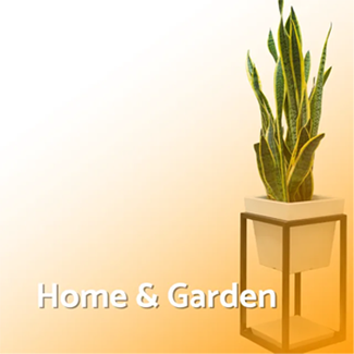 Website Mock-up