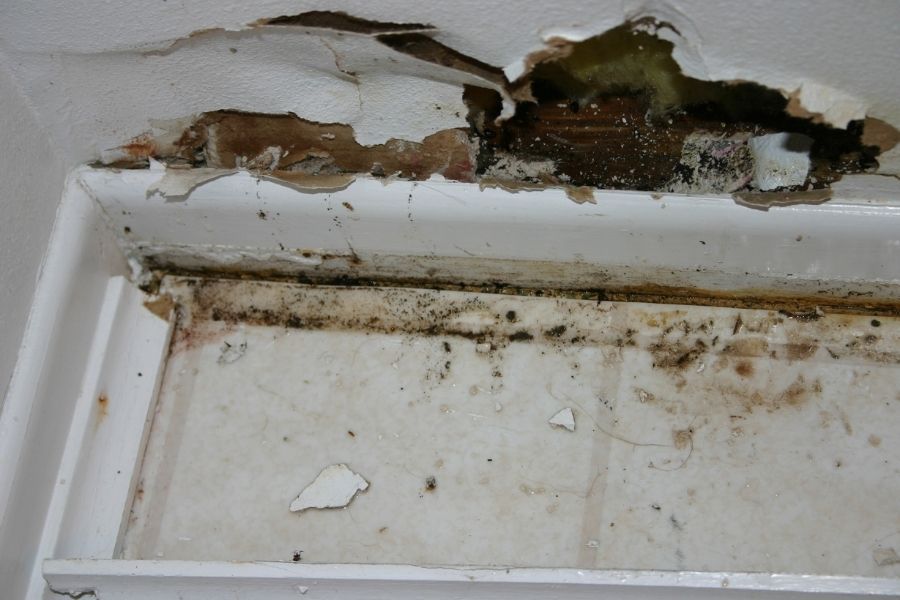 Baseboard and drywall showing water damage with early signs of mold growth along the wall